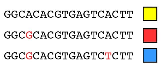 Incomplete Lineage Sorting - BioLogos