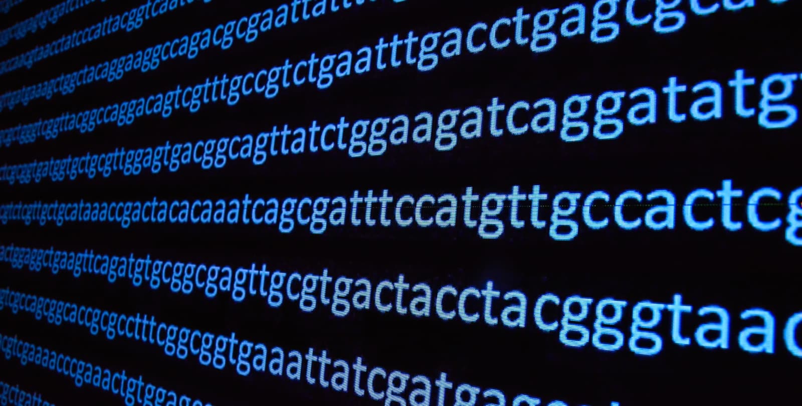 Lines of DNA code.