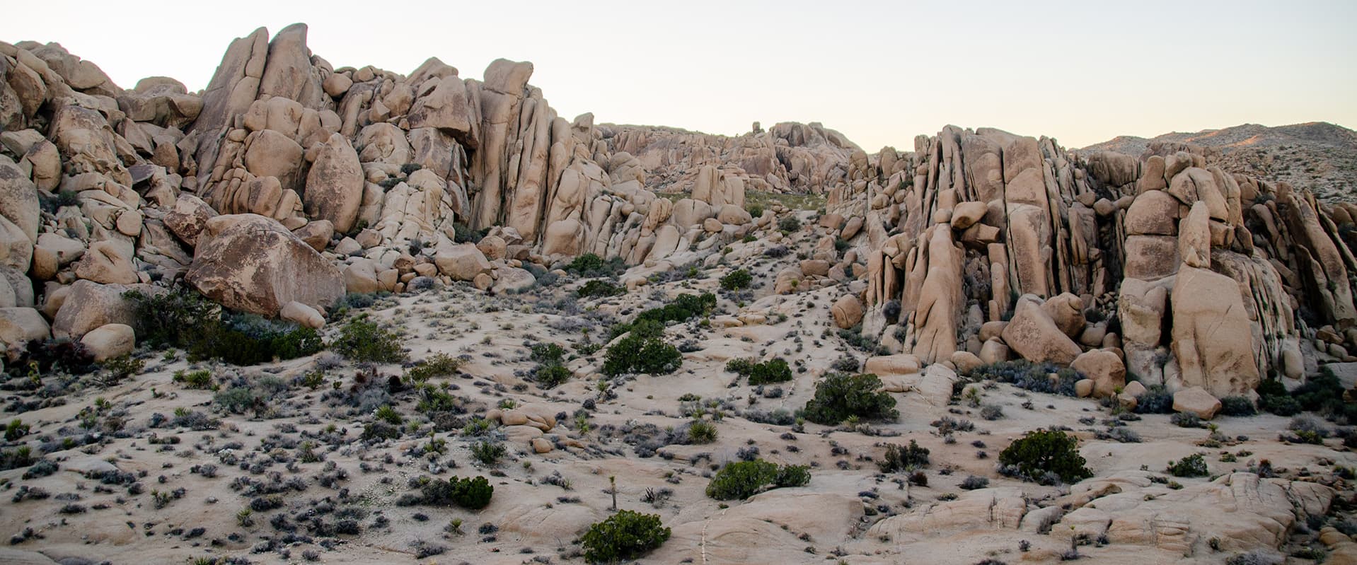 Desert landscape Joshua tree national park rocks
