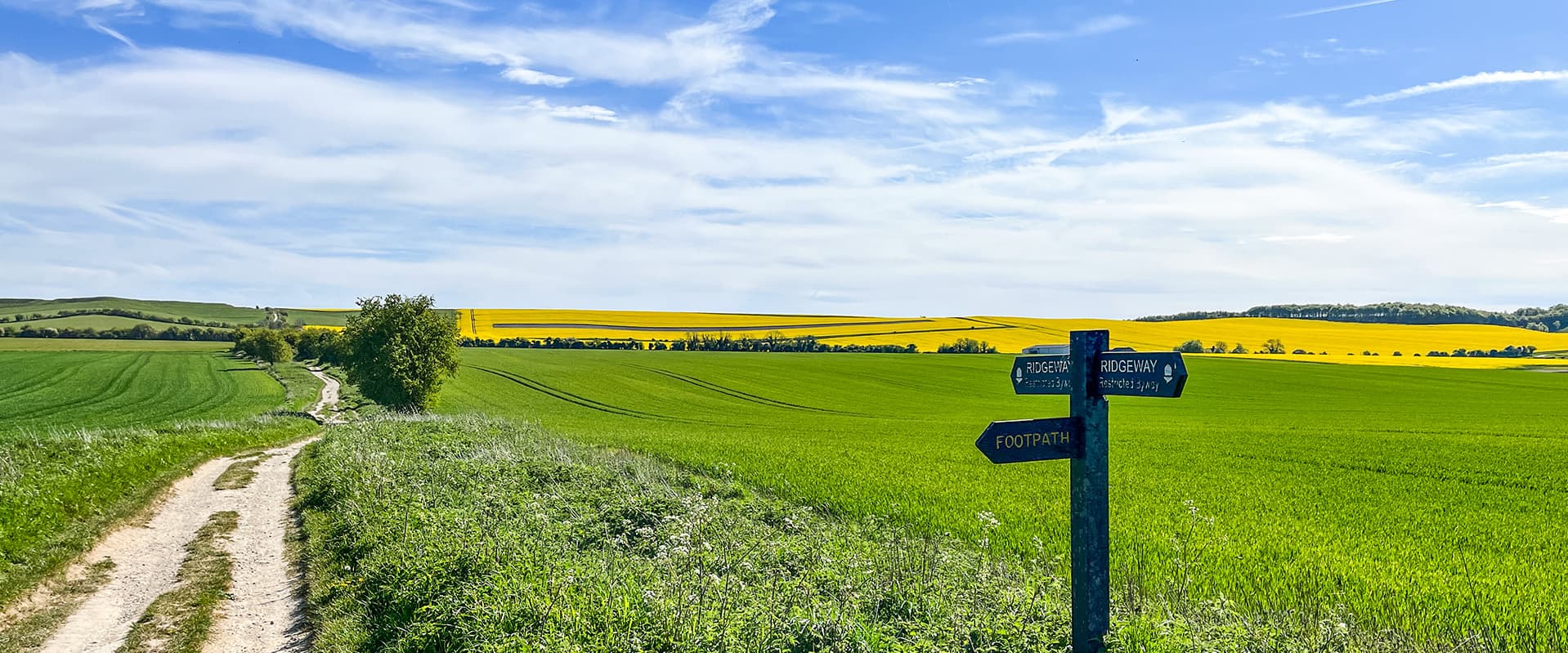 Signpost next to dirt path and fields