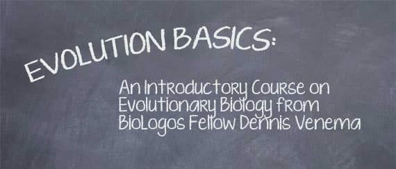 Incomplete Lineage Sorting - BioLogos