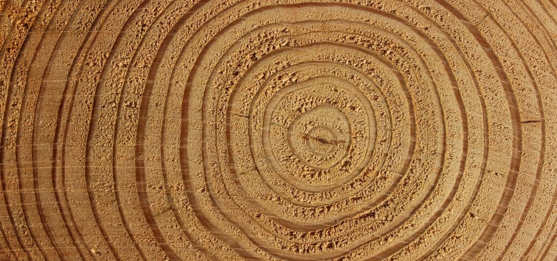 Cross Dating Tree Rings Process Cross-checking Dating Methods: Tree Rings, Varves, and Carbon-14 ...